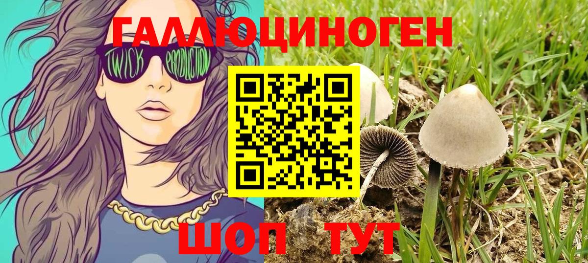 Псилоцибиновые грибы Psilocybe Борисоглебск